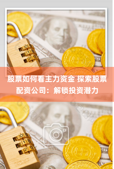 股票如何看主力资金 探索股票配资公司：解锁投资潜力