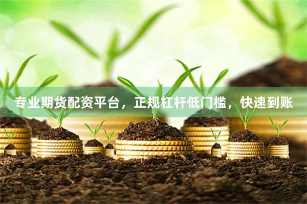 专业期货配资平台，正规杠杆低门槛，快速到账